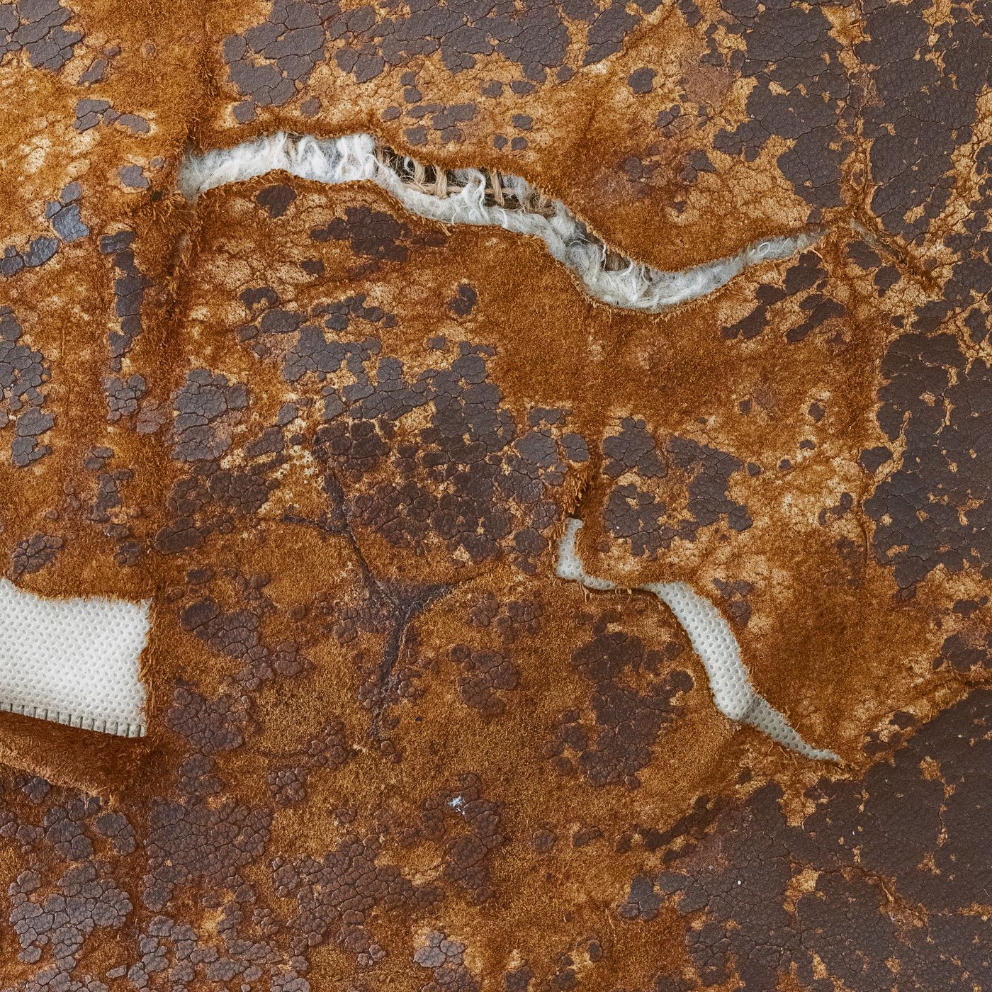 Placa 31. Fotodegradación, desecación y desgaste de cuero de tapicería.